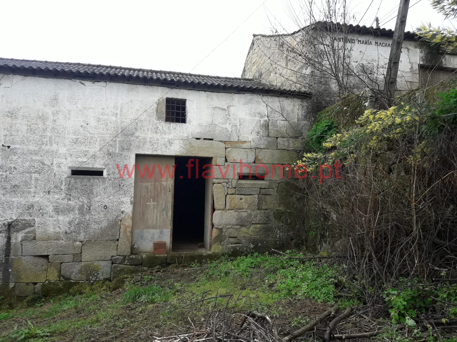 20200215_095508-1600×1200