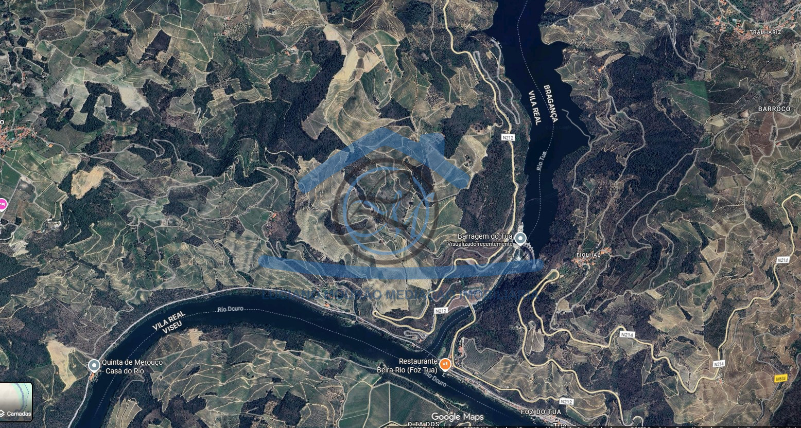 Captura-de-ecra-2025-09-22-113327