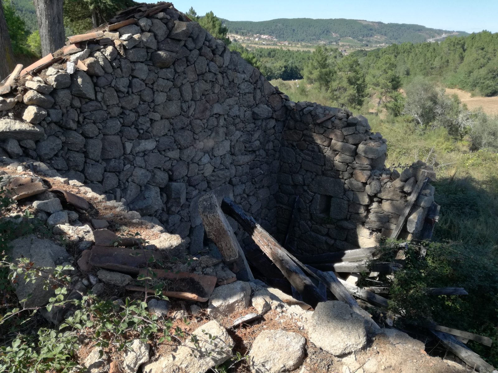 IMG_20170809_163411-1600×1200