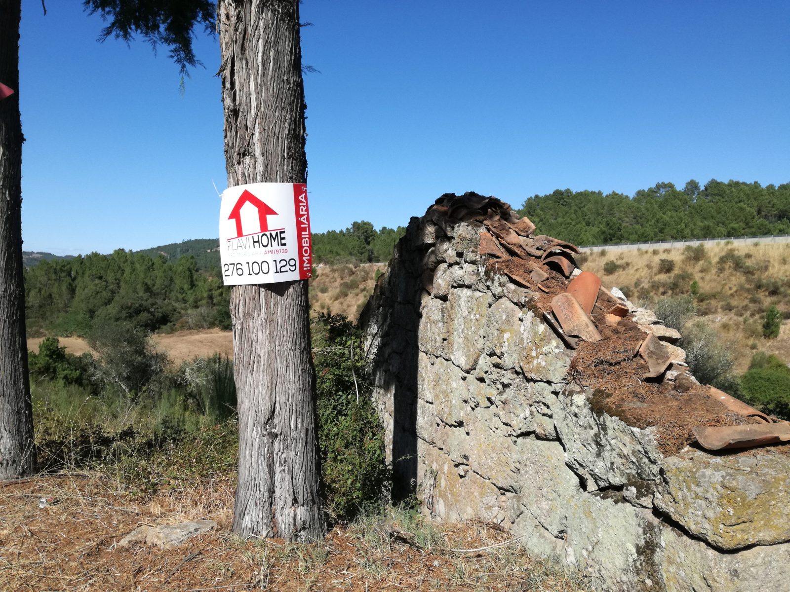 IMG_20170809_165407-1600×1200